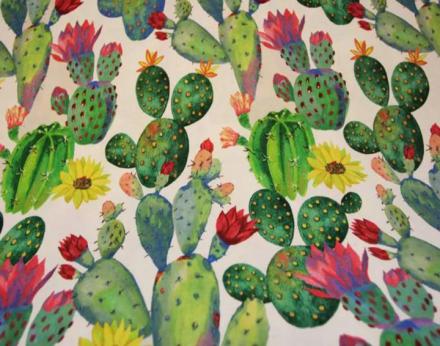 Loneta cactus multicolor